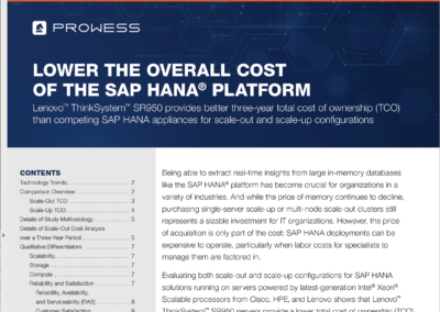 Lower The Overall Cost of The SAP HANA® Platform