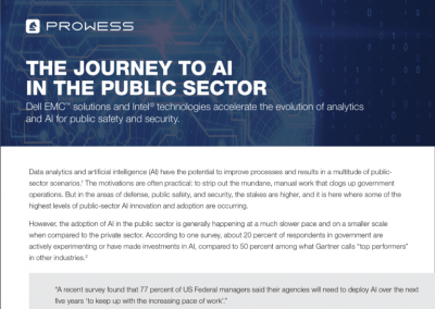 The Journey to AI in the Public Sector